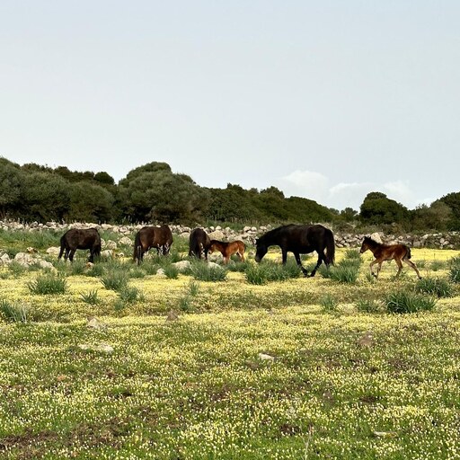 Country space